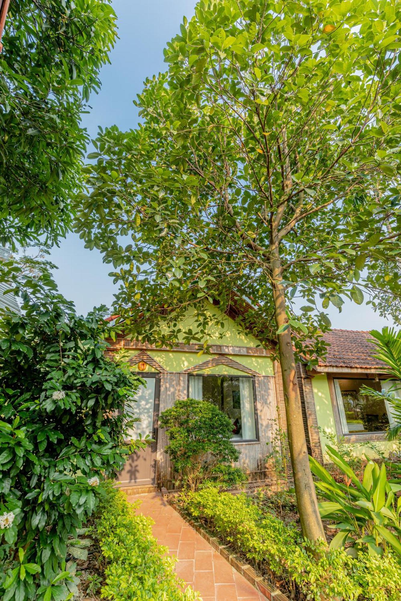 Tam Coc Green Garden Bungalow Ninh Binh Exterior foto